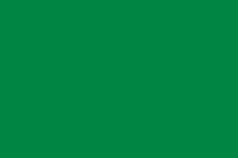 Flag_of_Libya_(1977–2011,_3-2)